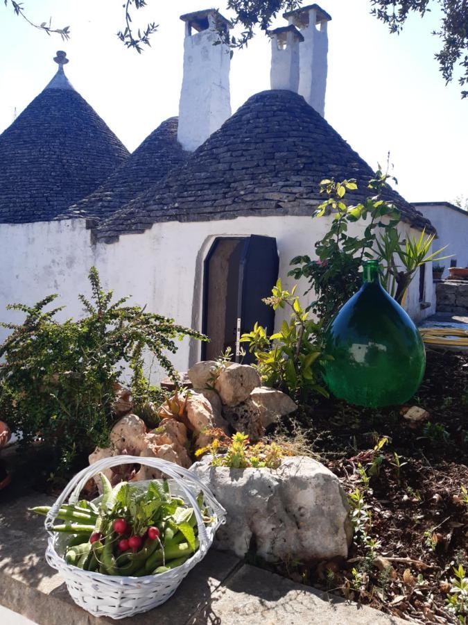 ألبيروبيللو Masseria Mazzalorsa المظهر الخارجي الصورة