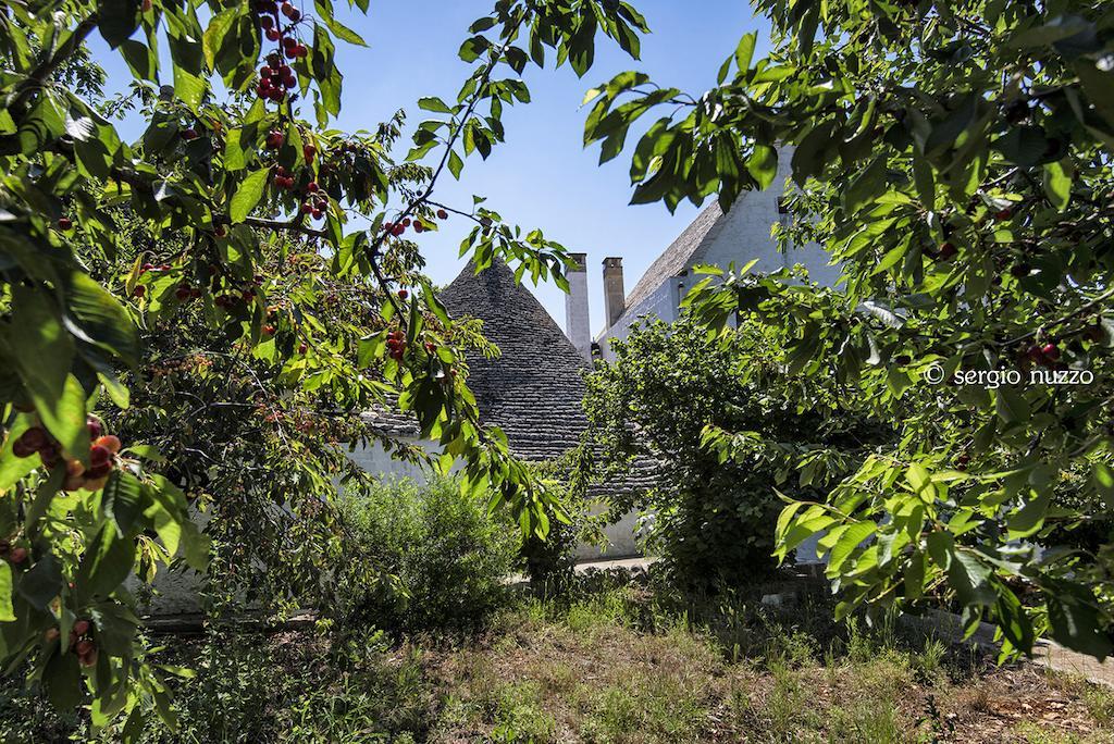 ألبيروبيللو Masseria Mazzalorsa المظهر الخارجي الصورة