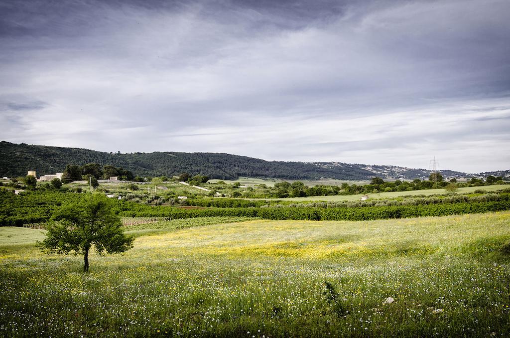 ألبيروبيللو Masseria Mazzalorsa المظهر الخارجي الصورة